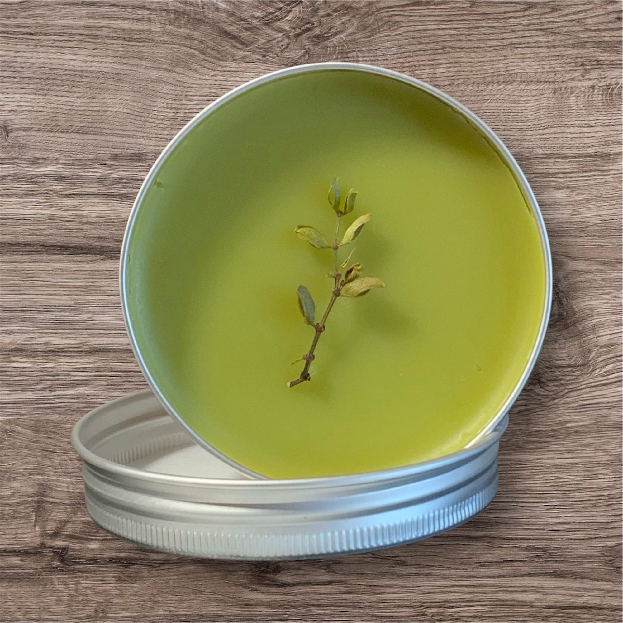 Arizona Desert Rain Creosote Bush Prickly Pear Balm Salve 2oz Tin