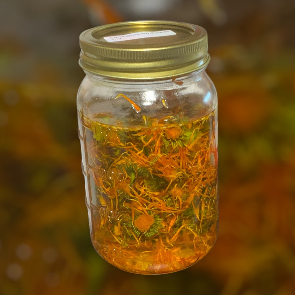 Calendula & Chamomile Salve – Herbal Skin Balm Trial Size