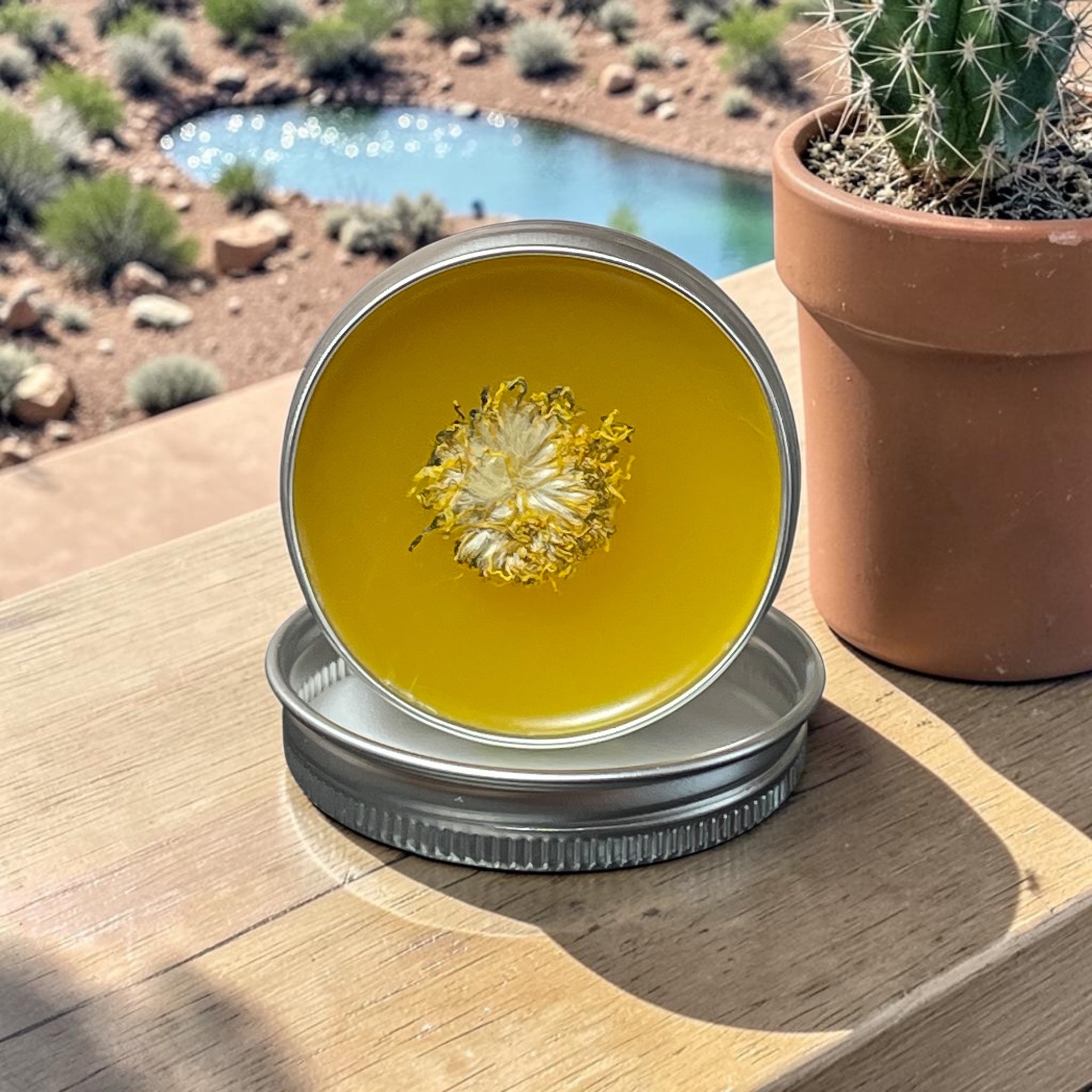 Dandelion & Chamomile Herbal Salve – Soothing Vegan Balm