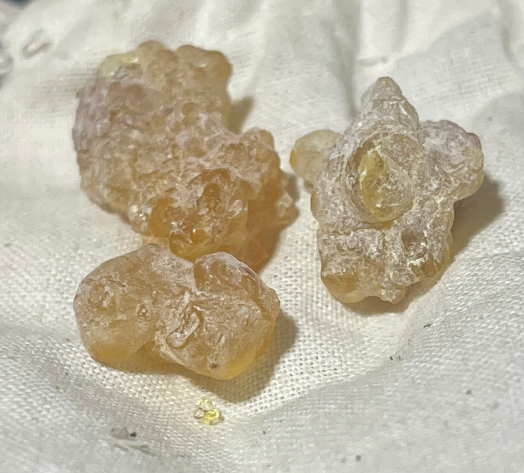 Frankincense Facial Oil – Boswellia dalzielii Resin Infused in Jojoba