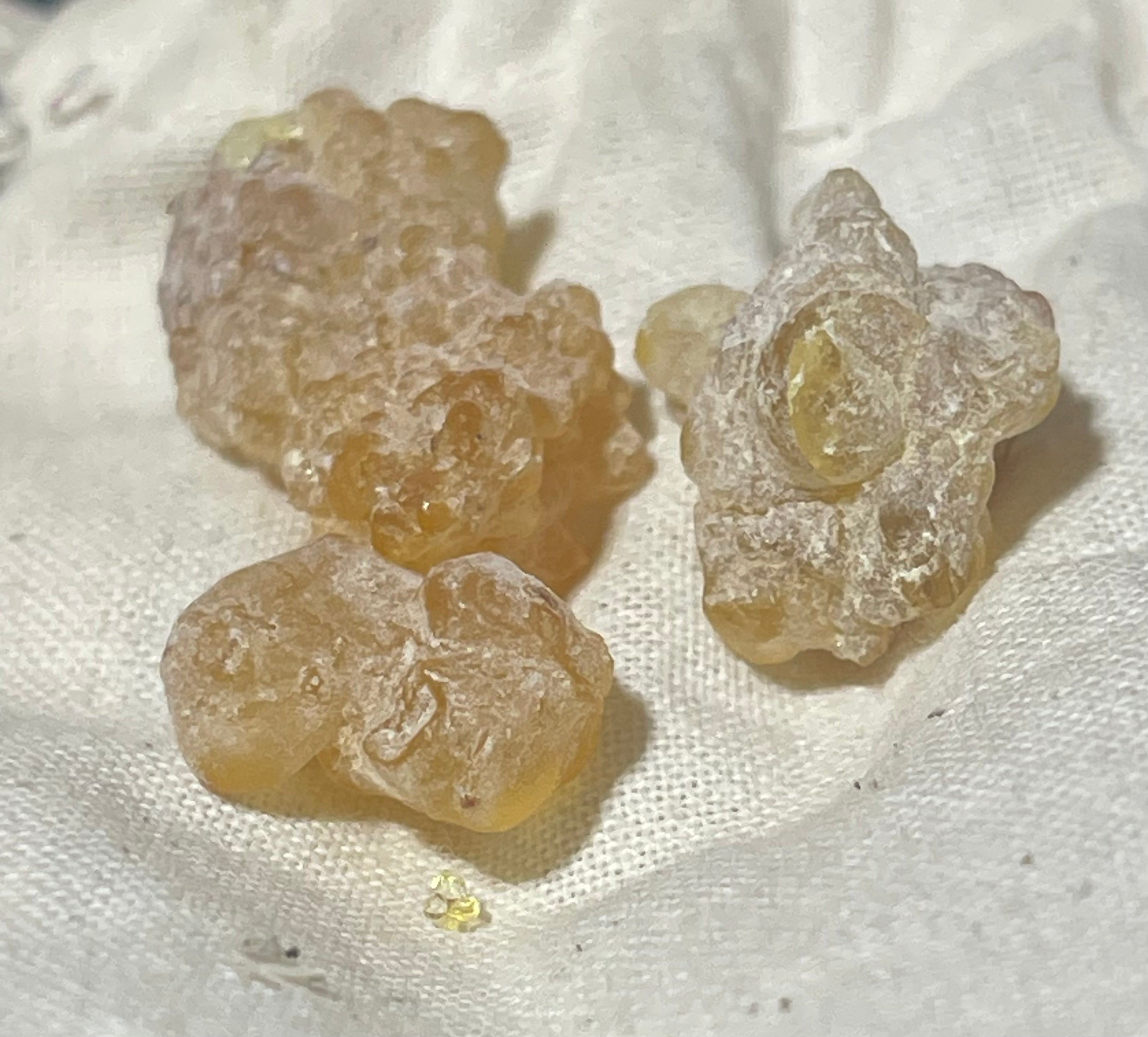 Frankincense Facial Oil – Boswellia dalzielii Resin Infused in Jojoba