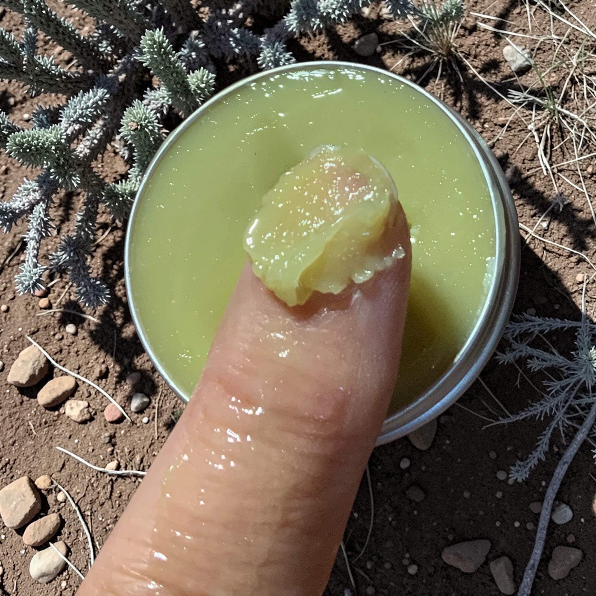 Arizona Desert Rain Creosote Bush Chaparral Beeswax Hand Salve 1oz