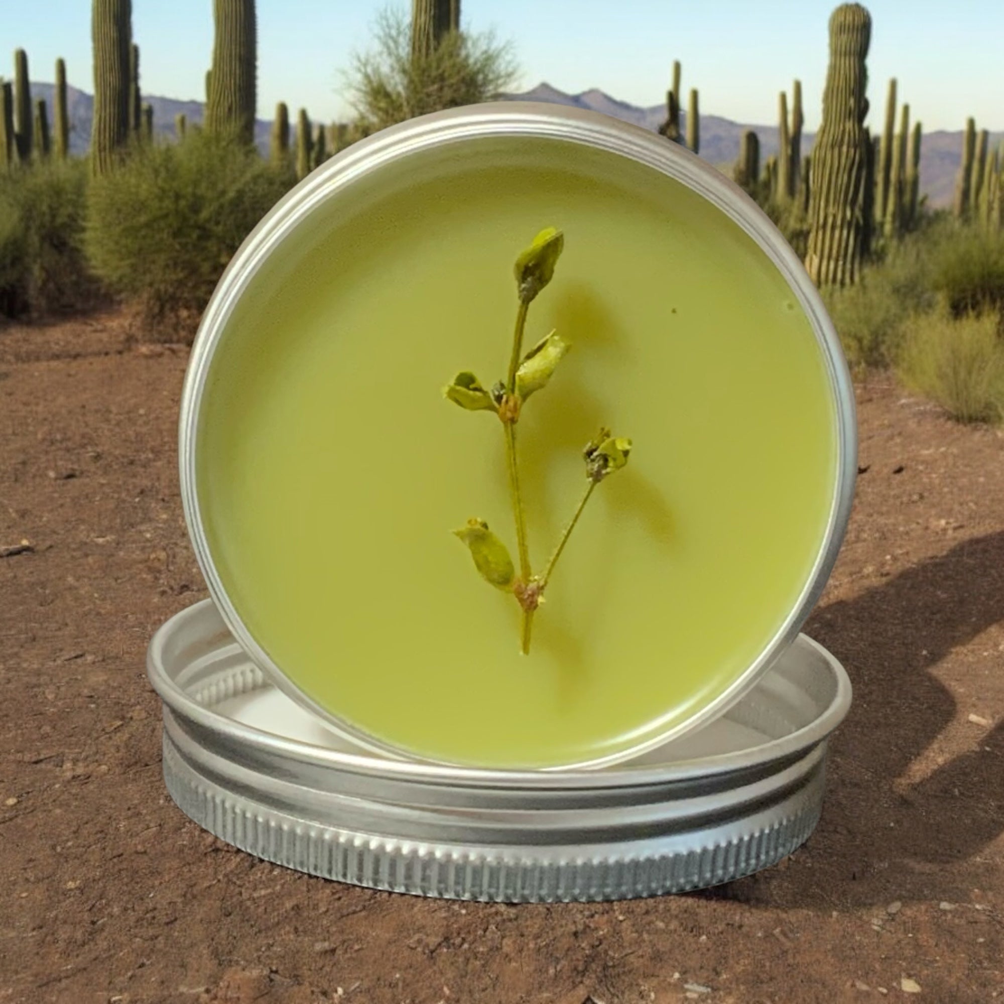 Arizona Desert Rain Creosote Bush Chaparral Beeswax Hand Salve 1oz
