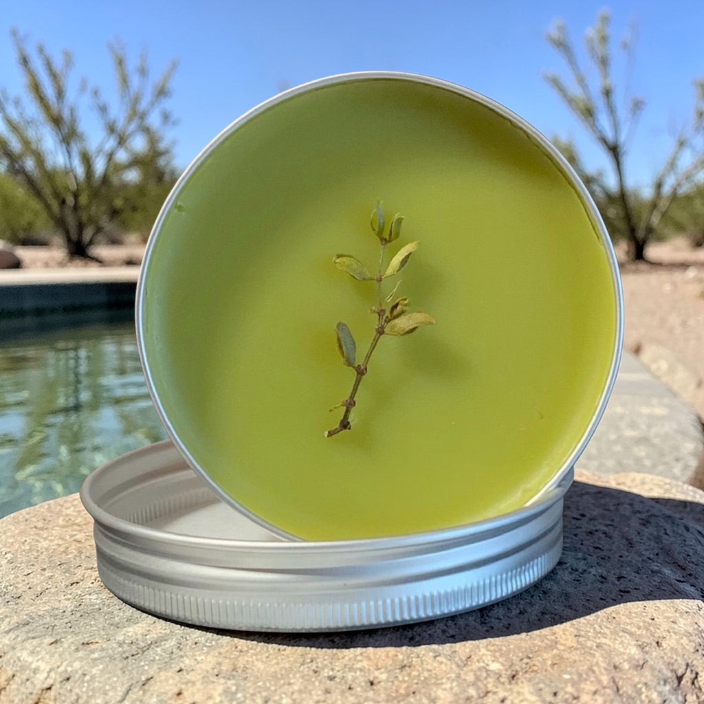 Arizona Desert Rain Creosote Bush Prickly Pear Balm Salve 2oz Tin