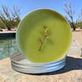 Arizona Desert Rain Creosote Bush Prickly Pear Balm Salve 2oz Tin