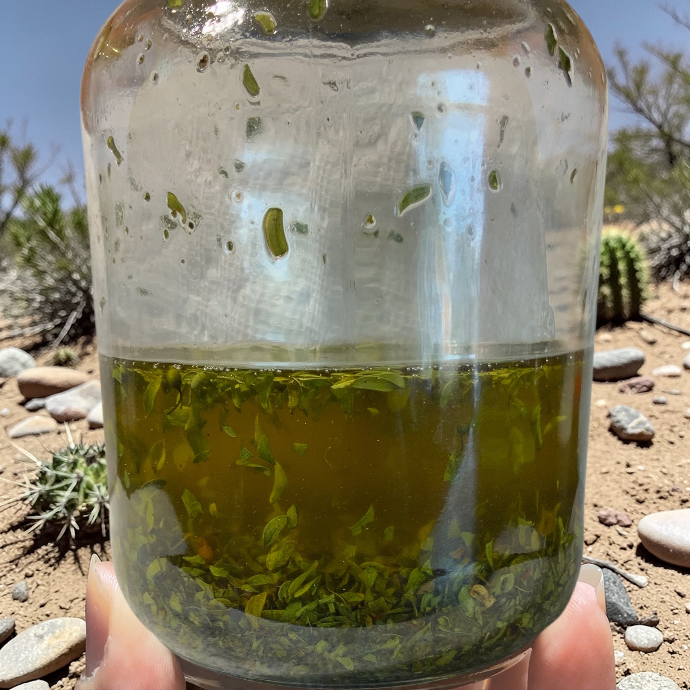 Arizona Desert Rain Creosote Bush Body Oil -1 ounce